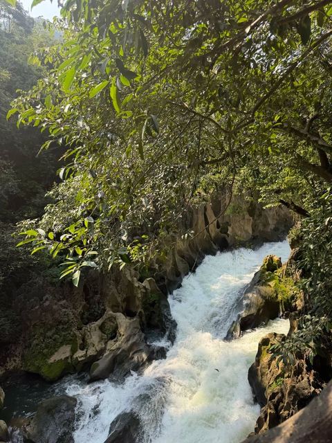 น้ำตกหวงกั่วชู่ ภาพที่ 8