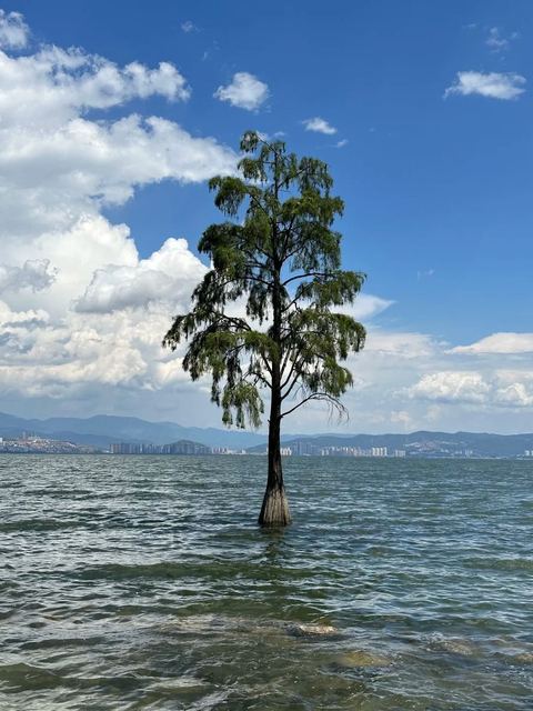 ทะเลสาบเอ๋อไห่ ภาพที่ 10