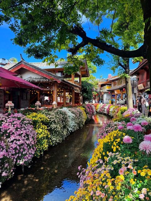 เมืองโบราณลี่เจียง ภาพที่ 6