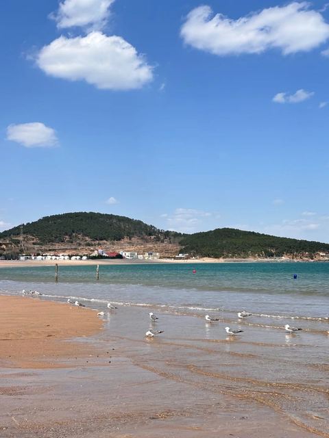 ชายหาดหมายเลข 2 ภาพที่ 11