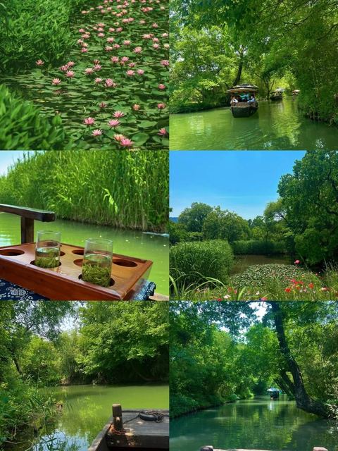 อุทยานพื้นที่ชุ่มน้ำซีซี ภาพที่ 1