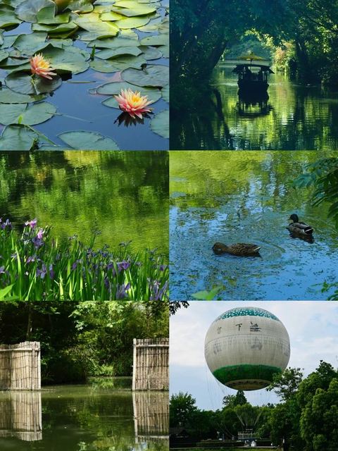 อุทยานพื้นที่ชุ่มน้ำซีซี ภาพที่ 3