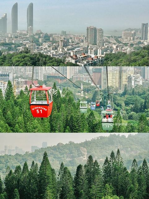 กระเช้าจง · สวนพฤกษศาสตร์ ภาพที่ 4