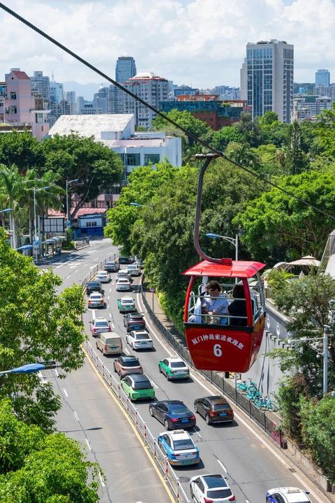 กระเช้าจง · สวนพฤกษศาสตร์ ภาพที่ 15