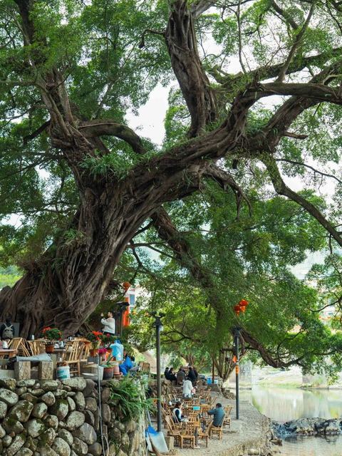 อวิ๋นสุ่ยเหยา · เหอกุ้ยโหลว ภาพที่ 14