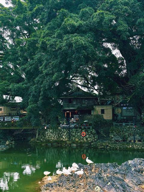 อวิ๋นสุ่ยเหยา · เหอกุ้ยโหลว ภาพที่ 20