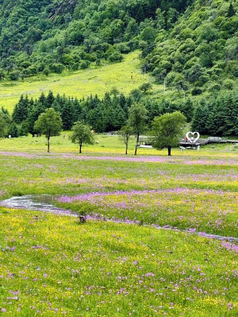 ทุ่งเหรินเซินกั่วผิง ภาพที่ 1