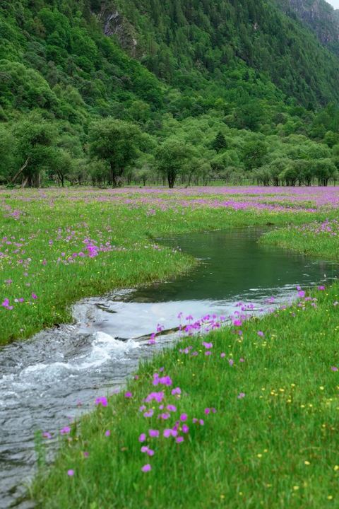 ทุ่งเหรินเซินกั่วผิง ภาพที่ 3