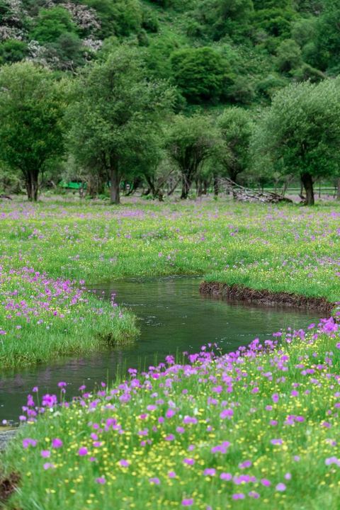 ทุ่งเหรินเซินกั่วผิง ภาพที่ 4