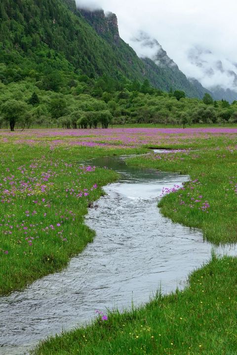 ทุ่งเหรินเซินกั่วผิง ภาพที่ 6