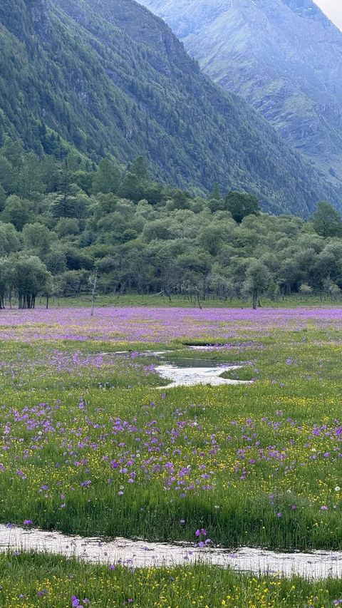 ทุ่งเหรินเซินกั่วผิง ภาพที่ 8