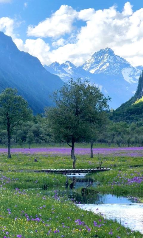 ทุ่งเหรินเซินกั่วผิง ภาพที่ 9