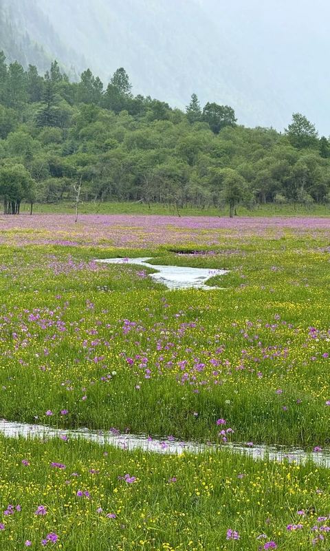 ทุ่งเหรินเซินกั่วผิง ภาพที่ 10