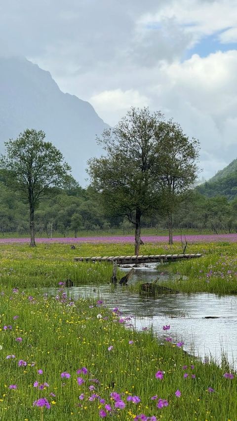 ทุ่งเหรินเซินกั่วผิง ภาพที่ 12
